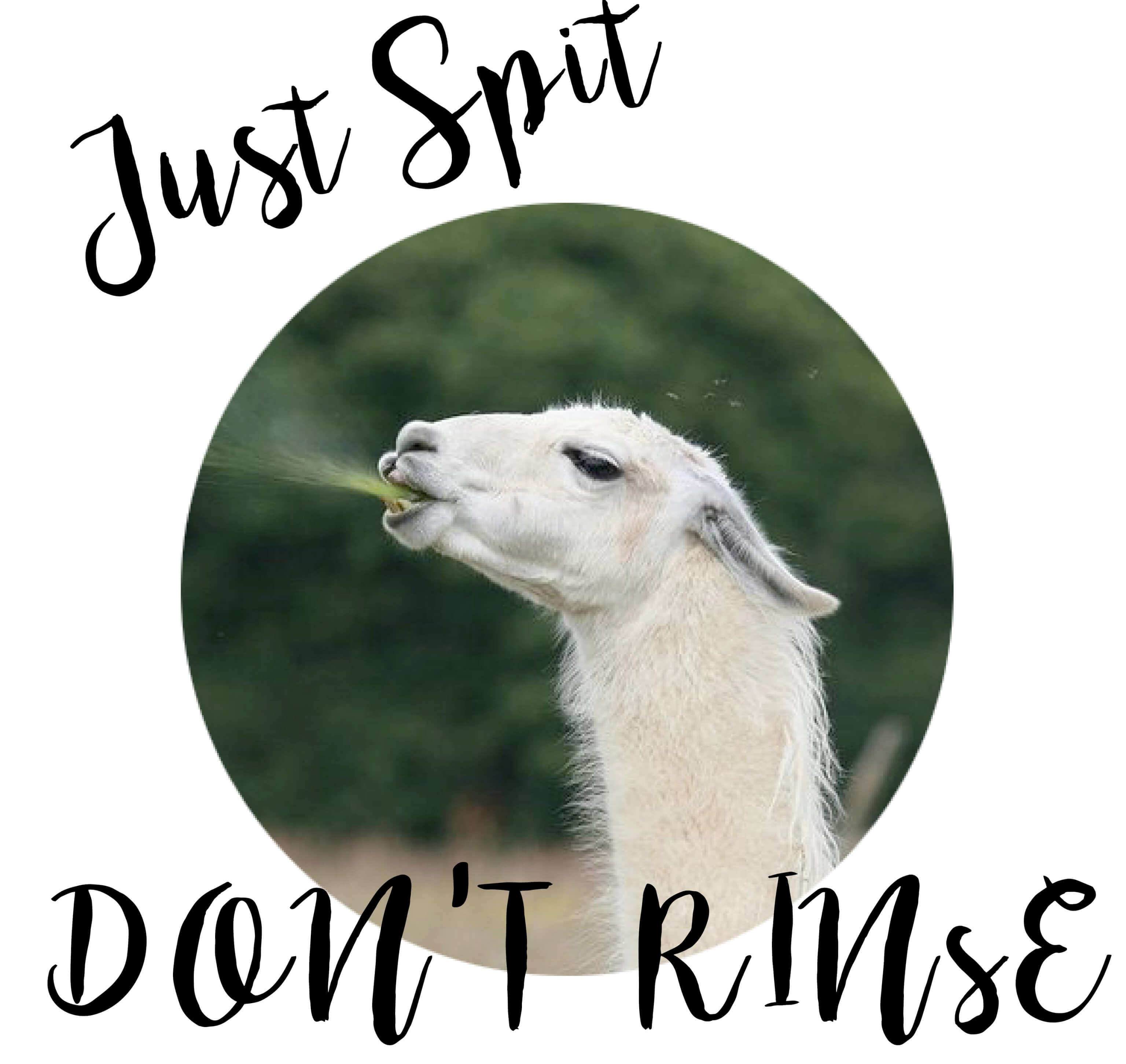 Spit! Don’t Rinse!
